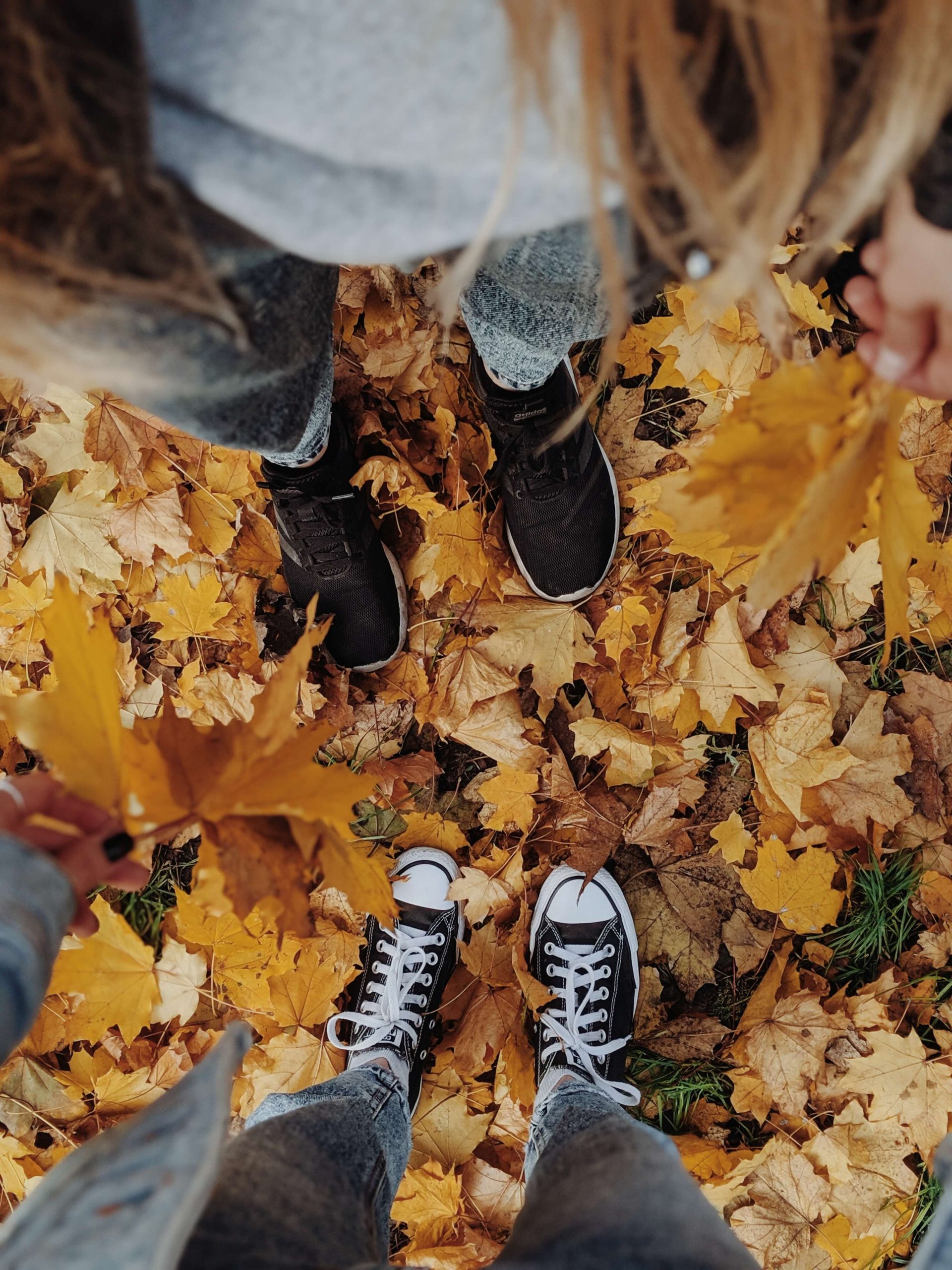 Autumn is here………